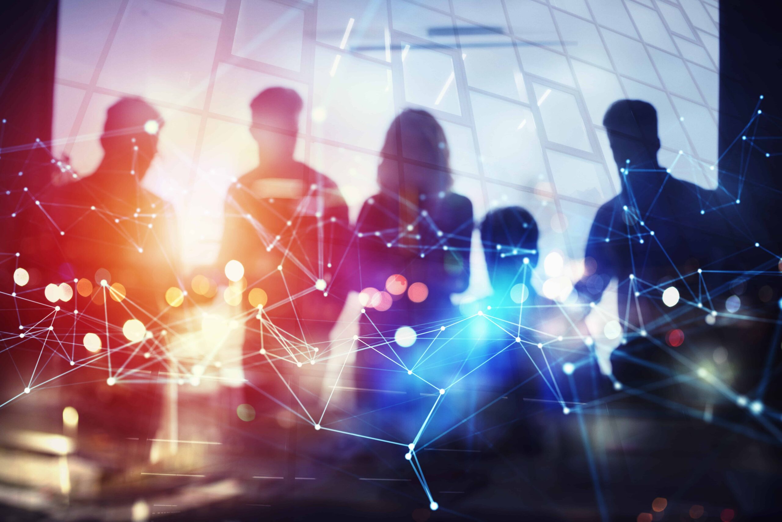 Digital Transformation Leadership Program